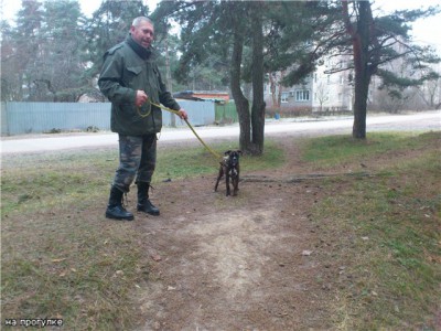 осень,на прогулке.jpg