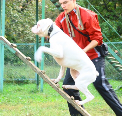 др бум.jpg