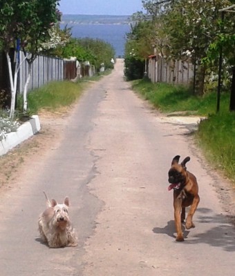 20130505_141549.jpg