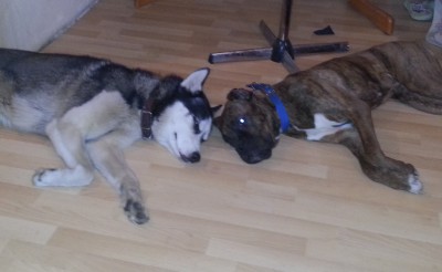 20130414_213233-1.jpg