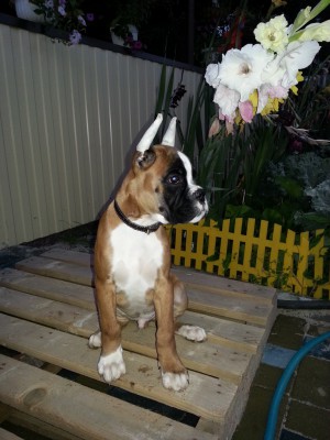 GECXc111.jpg (289.27 КБ) Просмотров: 9212 GECXc111.jpg