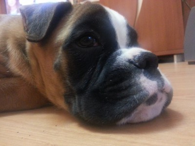 fP4qH111.jpg (243.86 КБ) Просмотров: 9206 fP4qH111.jpg