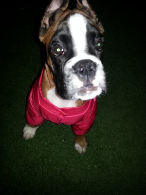 20130927_201821.jpg (222.34 КБ) Просмотров: 9214 20130927_201821.jpg