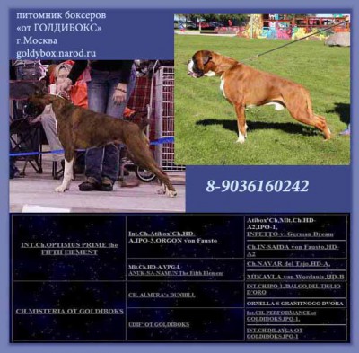 ped1b.jpg (77.67 КБ) Просмотров: 10643 ped1b.jpg