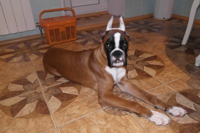 SAM_1323 222.jpg