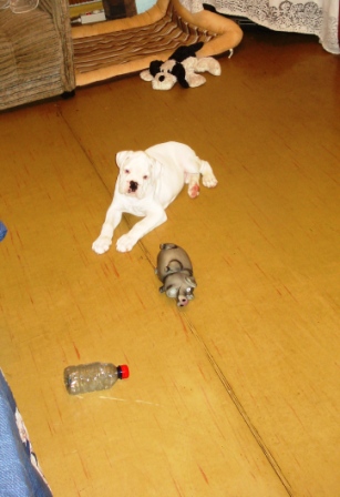 DSC04361.JPG