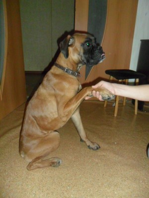 SAM_2156.JPG