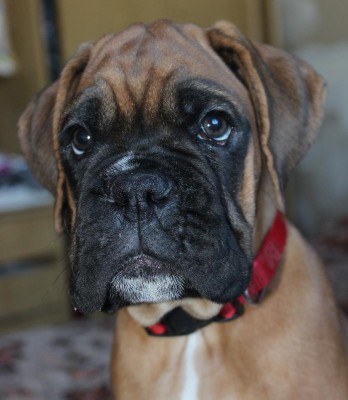 IMG_2463.JPG (111.29 КБ) Просмотров: 3525 IMG_2463.JPG