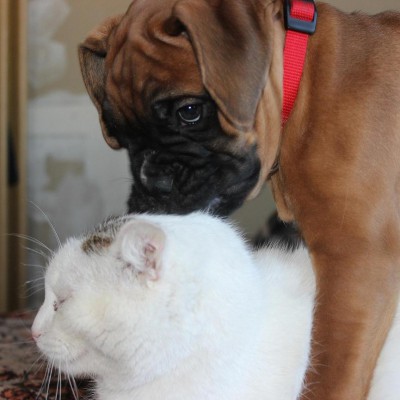 IMG_2450.JPG (96.97 КБ) Просмотров: 3525 IMG_2450.JPG