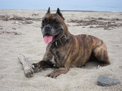 9.jpg (80.76 КБ) Просмотров: 10793 9.jpg