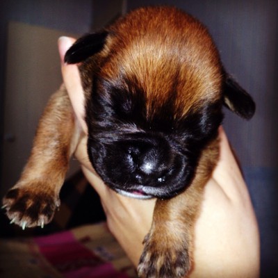 5.jpg (110.57 КБ) Просмотров: 9720 5.jpg