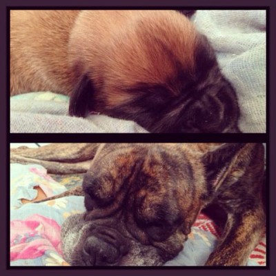 4.jpg (43.14 КБ) Просмотров: 10793 4.jpg