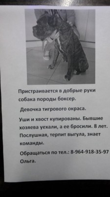 XRaxYsKrLGk.jpg