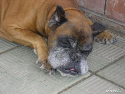 749714546.jpg (48.89 КБ) Просмотров: 17972 749714546.jpg