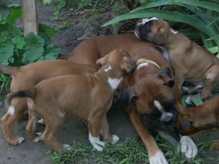 IMGP0130.JPG