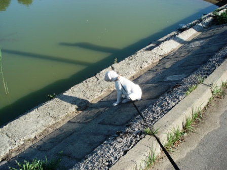 DSC04408.JPG