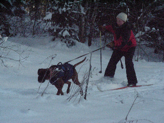 DSCN3806.jpg