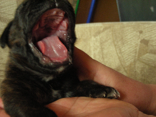 DSCN3820.jpg
