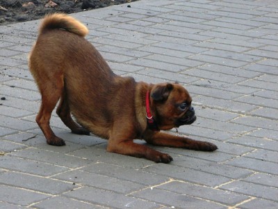 Galya1_19_11.11.JPG