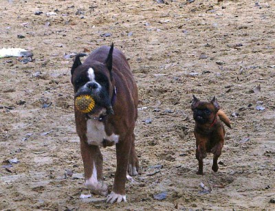 Ybs&galya2.JPG