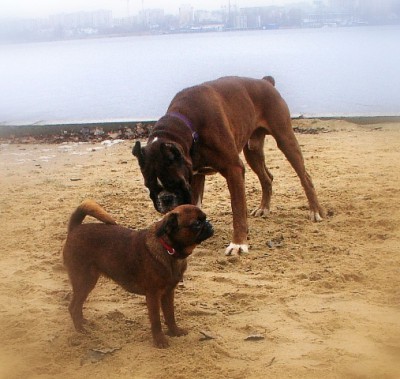 Ybs&Galya1.JPG