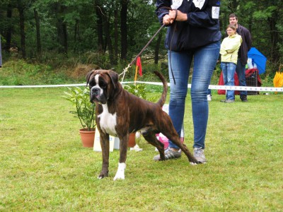 nick.jpg (225.28 КБ) Просмотров: 7868 nick.jpg