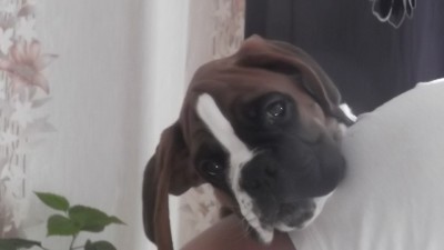 DSCF1081.JPG