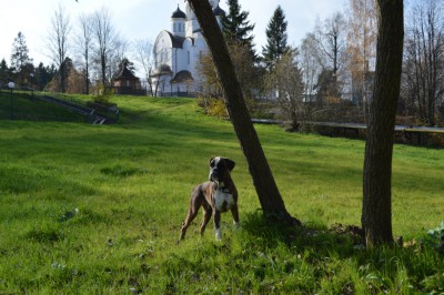 DSC_0277 - копия.JPG
