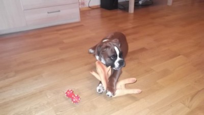 DSCF1194.JPG