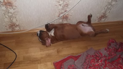 DSCF1245.JPG