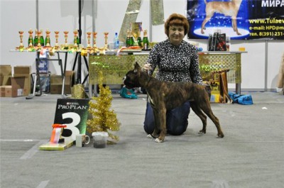 рона-тул.jpg (66.16 КБ) Просмотров: 9884 рона-тул.jpg