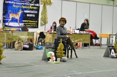 рона-тул1.jpg (98.16 КБ) Просмотров: 10932 рона-тул1.jpg