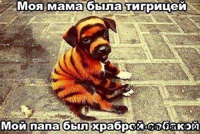 фотография.JPG